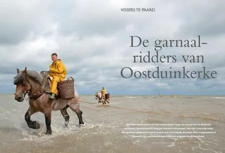 Vakantiehuis Duindistel